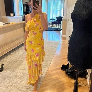 Brand new no tag Amur gown